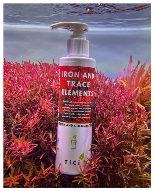 Iron & Trace Element