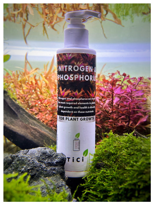 Nitrogen & Phosphorus