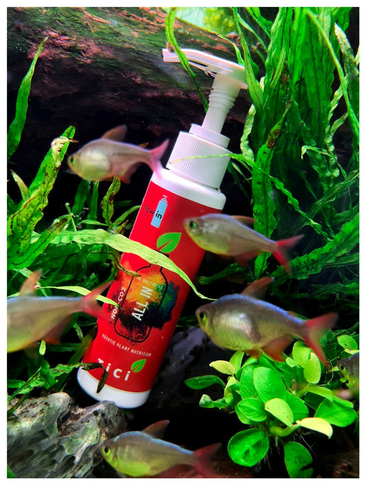 All In One (Non CO2)