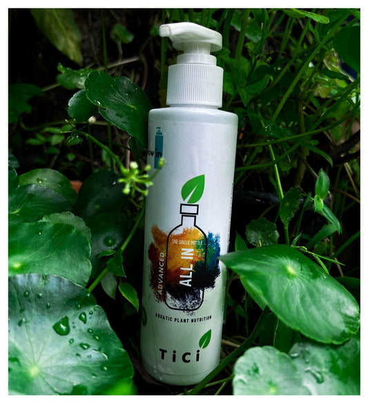 All In One (Advance)