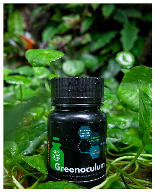 Greenoculum